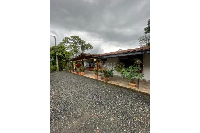 Fincas y Casas Campestres, Venta, Filandia - $1.250.000.000