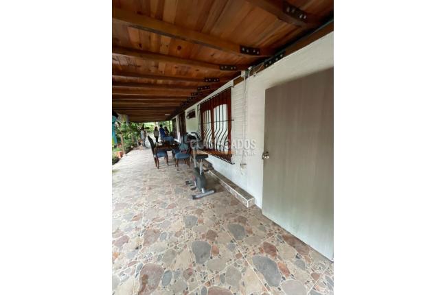 Fincas y Casas Campestres, Venta, Filandia - $1.250.000.000
