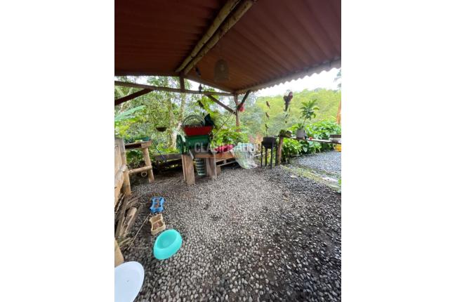Fincas y Casas Campestres, Venta, Filandia - $1.250.000.000