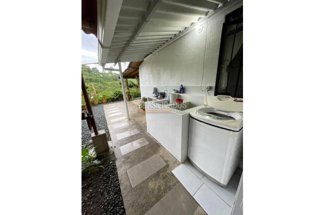 Fincas y Casas Campestres, Venta, Filandia - $1.250.000.000