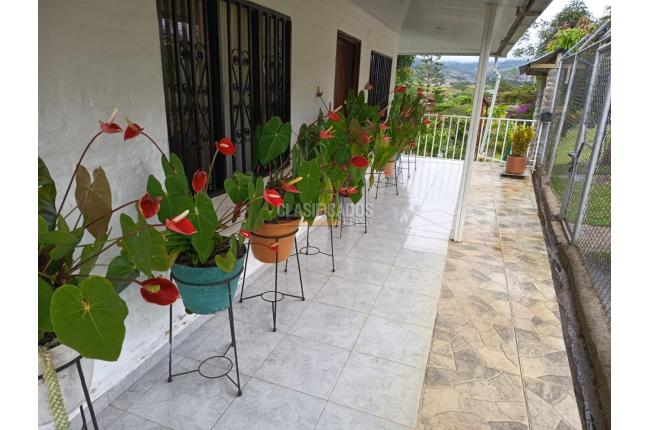 Fincas y Casas Campestres, Venta, Dagua - $370.000.000