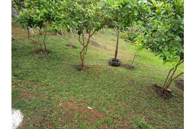 Fincas y Casas Campestres, Venta, Dagua - $370.000.000