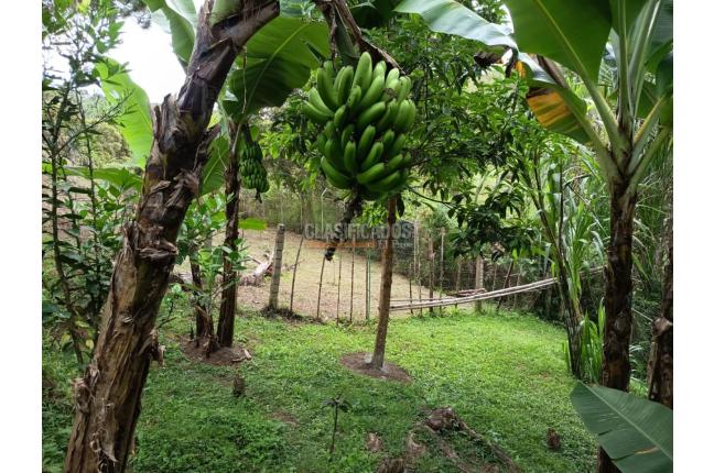 Fincas y Casas Campestres, Venta, Dagua - $370.000.000