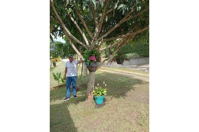 Fincas y Casas Campestres, Venta, Dagua - $370.000.000