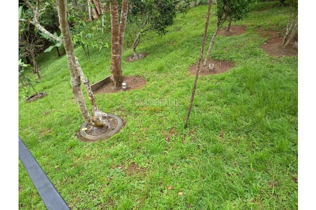 Fincas y Casas Campestres, Venta, Dagua - $370.000.000