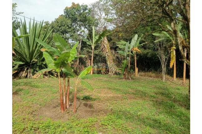 Fincas y Casas Campestres, Venta, La Cumbre - $670.000.000