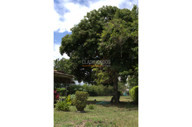 Lotes, Venta en Candelaria