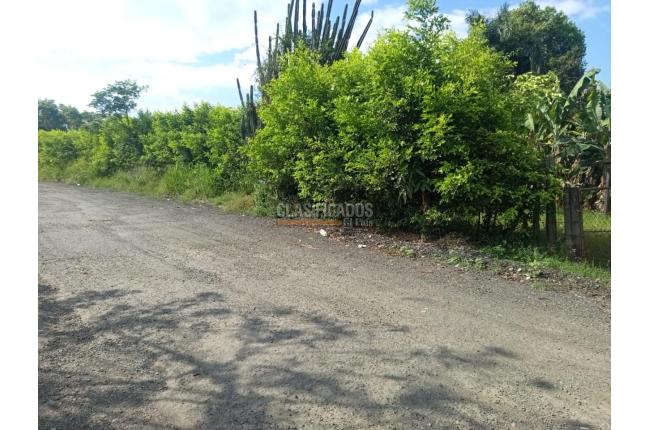 Lotes, Venta, Candelaria - $580.000.000