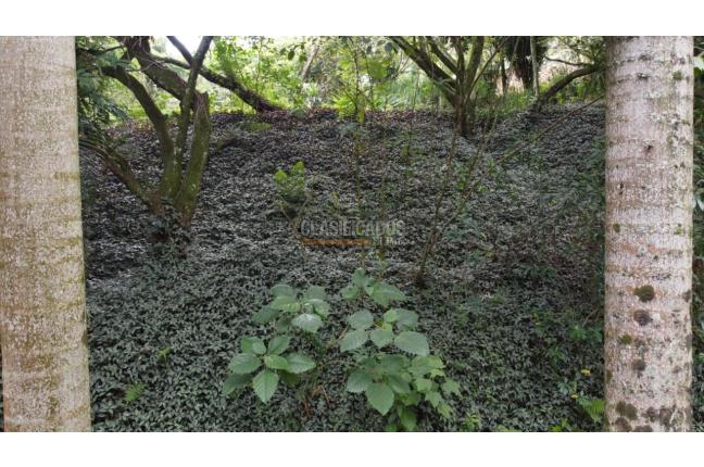 Lotes, Venta, Cristo Rey - $600.000.000