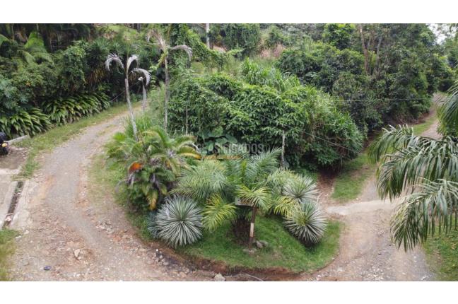 Lotes, Venta en Cristo Rey