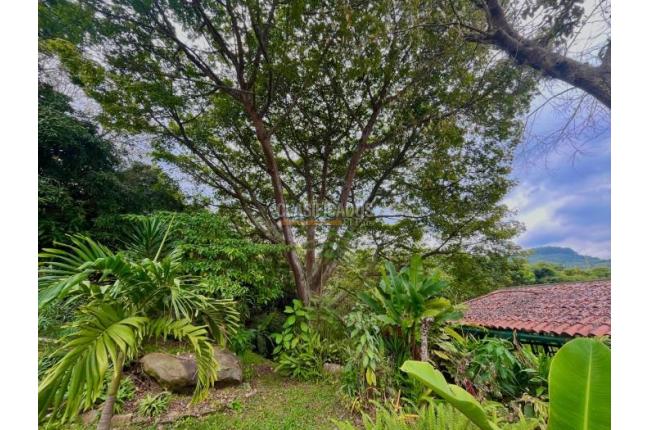 Casas, Alquiler, Dapa - $6.000.000