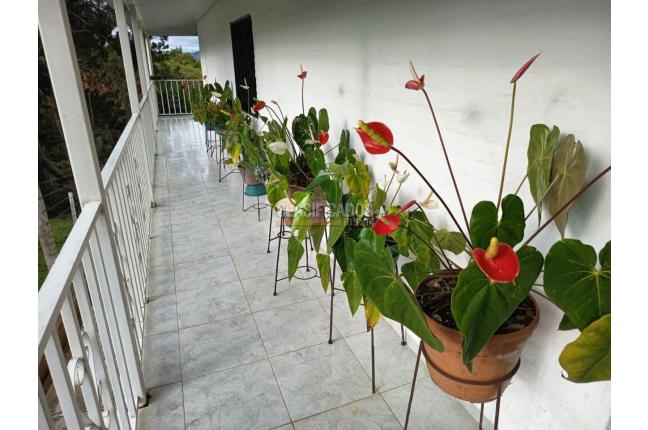 Fincas y Casas Campestres, Venta en Dagua