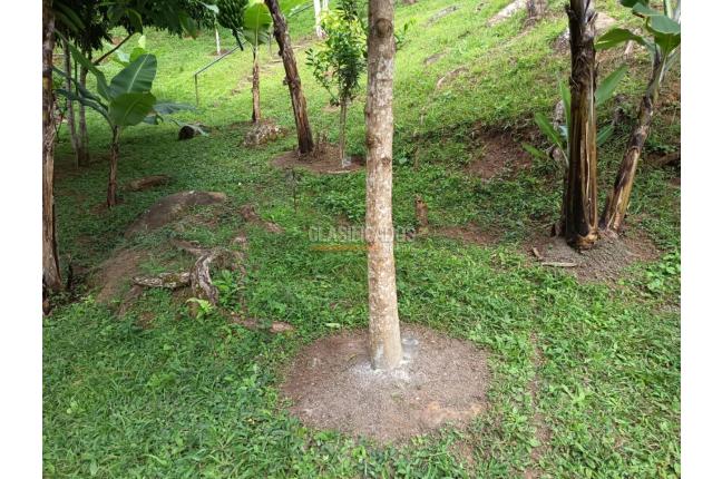 Fincas y Casas Campestres, Venta, Dagua - $370.000.000