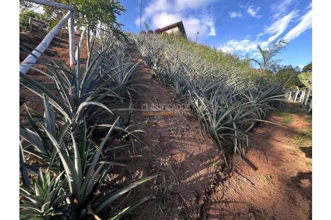 Casas, Venta, La Cumbre - $500.000.000