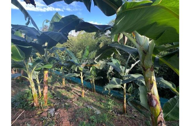 Casas, Venta, La Cumbre - $500.000.000