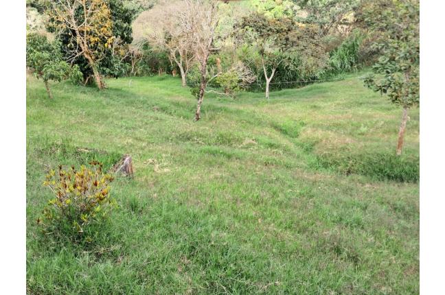 Fincas y Casas Campestres, Venta, La Elvira - $480.000.000