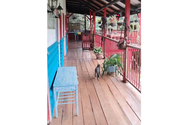 Fincas y Casas Campestres, Venta, La Elvira - $480.000.000