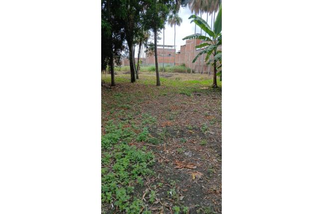 Lotes, Venta, Candelaria - $600.000.000