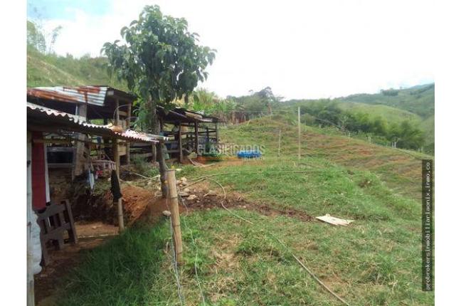 Fincas y Casas Campestres, Venta, Ginebra - $2.800.000.000