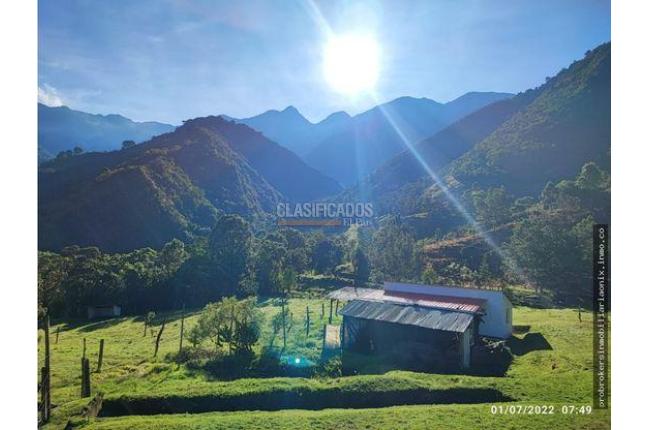 Fincas y Casas Campestres, Venta, Ginebra - $2.800.000.000