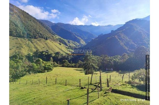 Fincas y Casas Campestres, Venta, Ginebra - $2.800.000.000