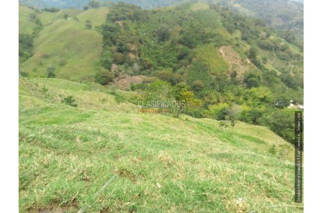 Fincas y Casas Campestres, Venta, Ginebra - $2.800.000.000