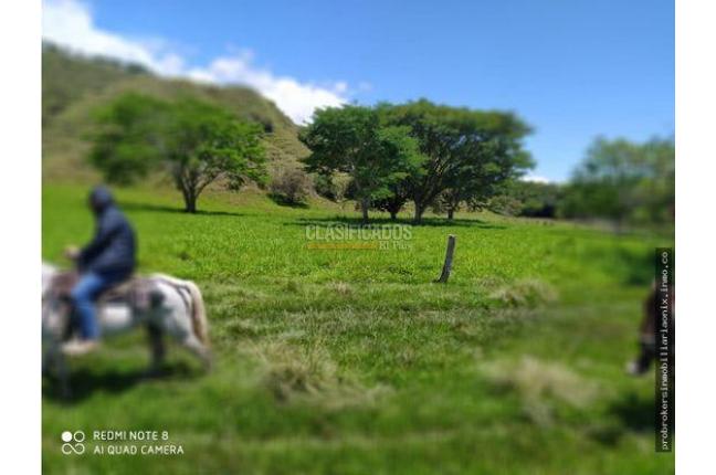 Fincas y Casas Campestres, Venta, Ginebra - $2.800.000.000