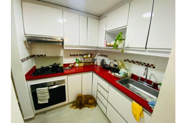 Apartamentos, Venta, Bellavista - $265.000.000