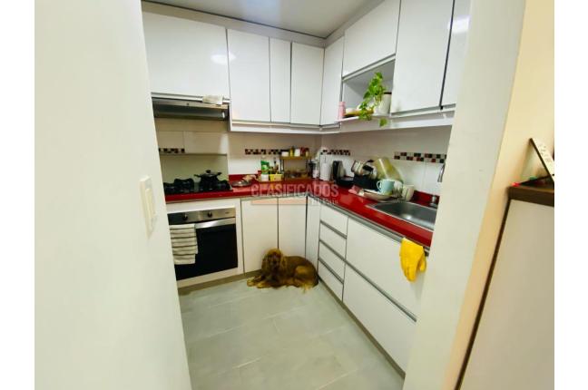 Apartamentos, Venta, Bellavista - $265.000.000