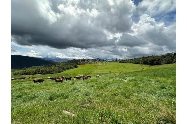 Lotes, Venta, La Cumbre - $140.000.000