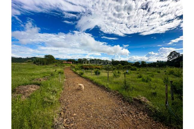 Lotes, Venta, Restrepo - $190.000.000