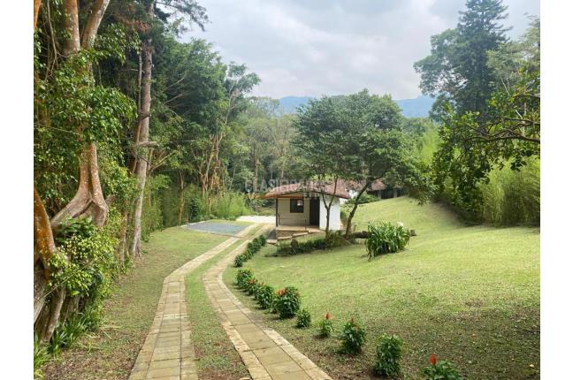 Casas, Alquiler en Dapa