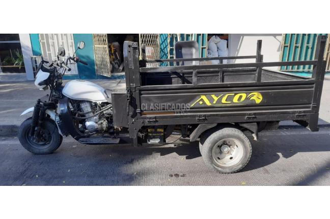 Ayco AY250 2018