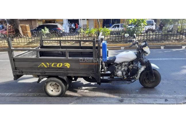 Ayco AY250 2018