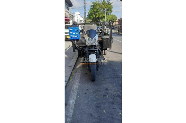 Ayco AY250 2018
