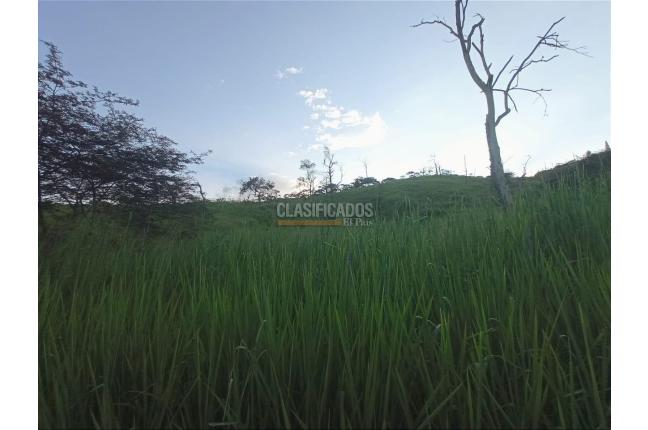 Lotes, Venta, Yumbo - $560.000.000