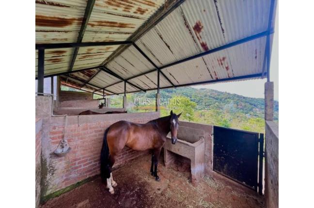 Fincas y Casas Campestres, Venta, Yumbo - $1.700.000.000