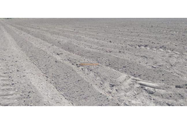 Fincas y Casas Campestres, Venta, Buga