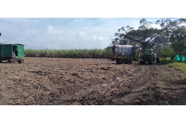 Fincas y Casas Campestres, Venta, Buga