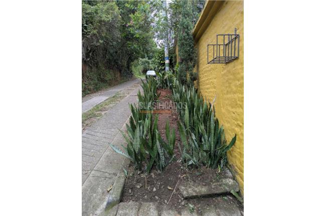 Apartamentos, Alquiler en Buitrera