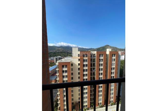 Apartamentos, Venta, Bellavista - $255.000.000