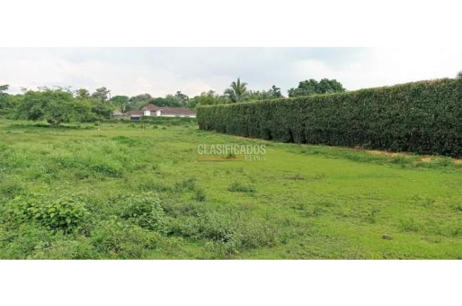 Lotes, Venta en Pance