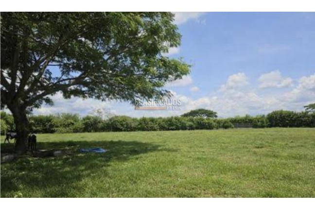 Lotes, Venta en Palmira