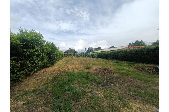 Lotes, Venta en Palmira