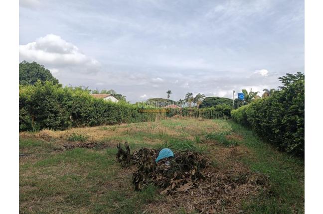 Lotes, Venta en Palmira