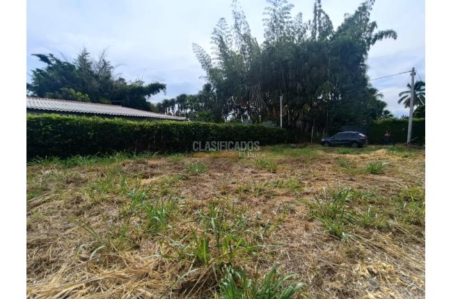 Lotes, Venta en Palmira