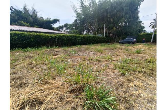 Lotes, Venta, Palmira - $210.000.000