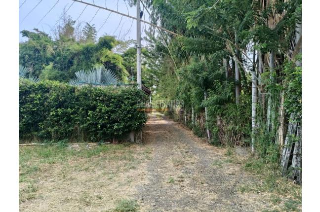 Lotes, Venta, Palmira - $210.000.000