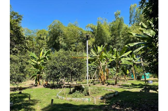 Fincas y Casas Campestres, Venta, Ginebra - $2.450.000.000