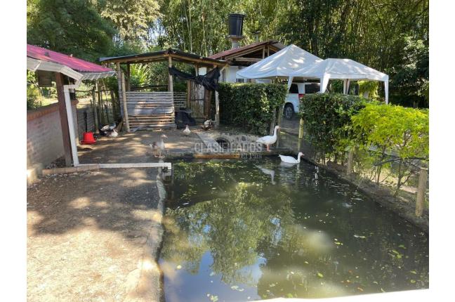 Fincas y Casas Campestres, Venta, Ginebra - $2.450.000.000